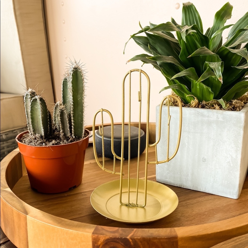 Cactus Decor Jewelry Holder